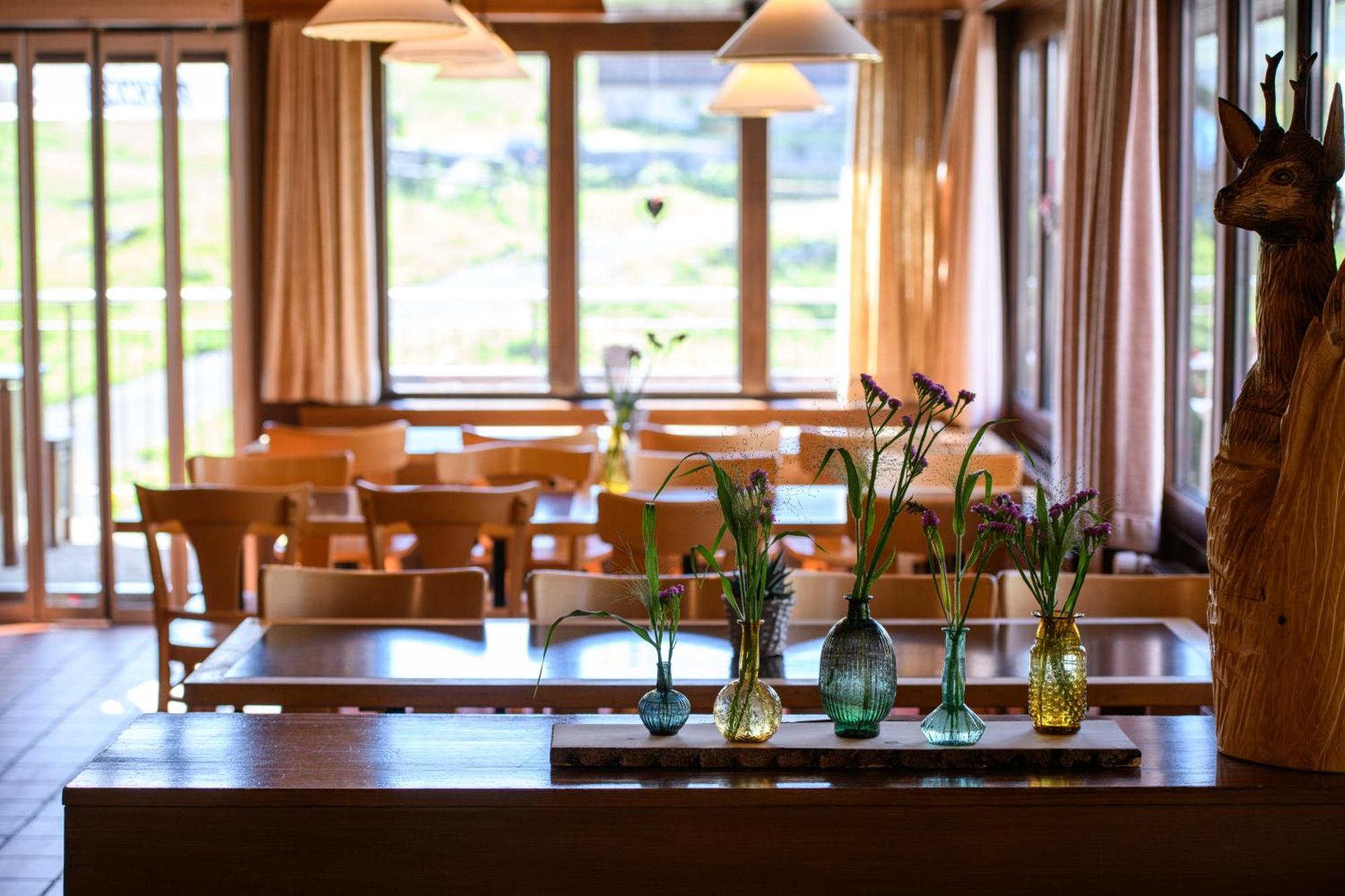 Berghotel Distelboden Melchsee Frutt Экстерьер фото